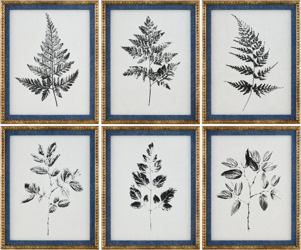 Auden Framed Art (Set of 6)