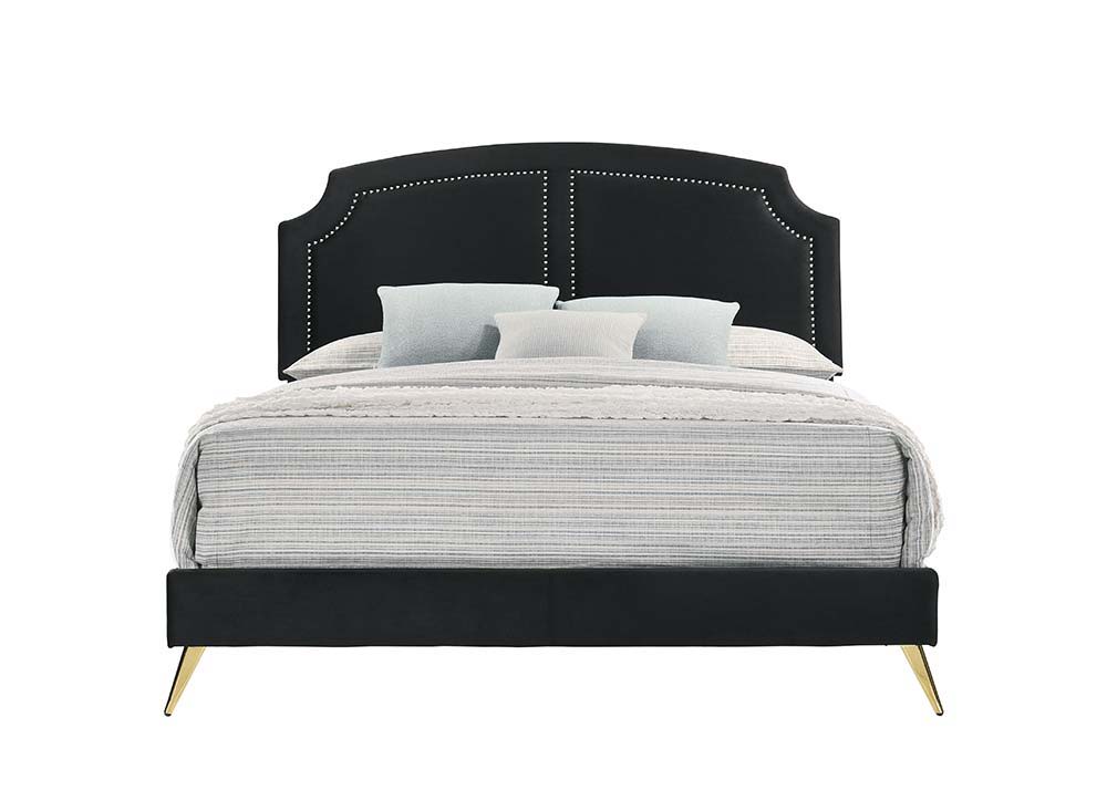 ACME Zeena - Bed | Meri Furniture