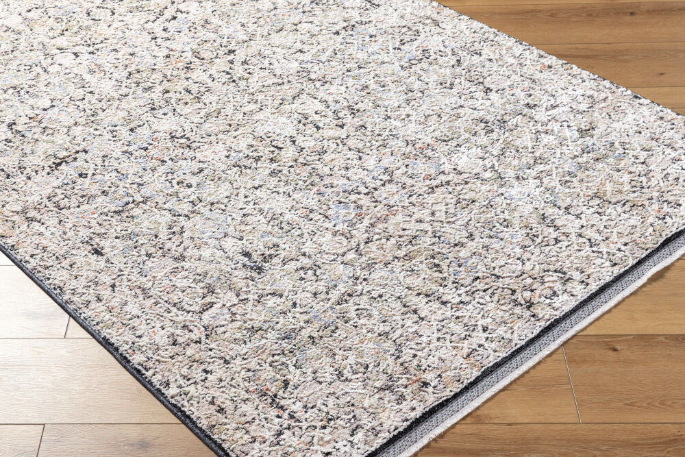 Rivaldo Machine Woven Rug