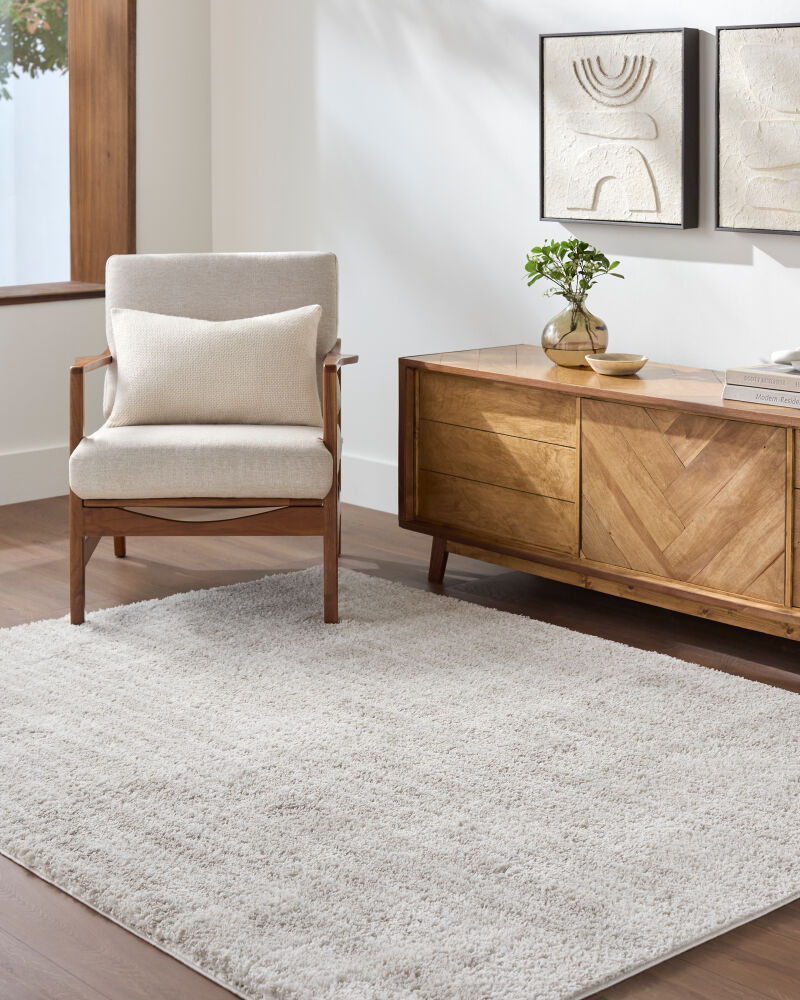Cloudy Shag Machine Woven Rug