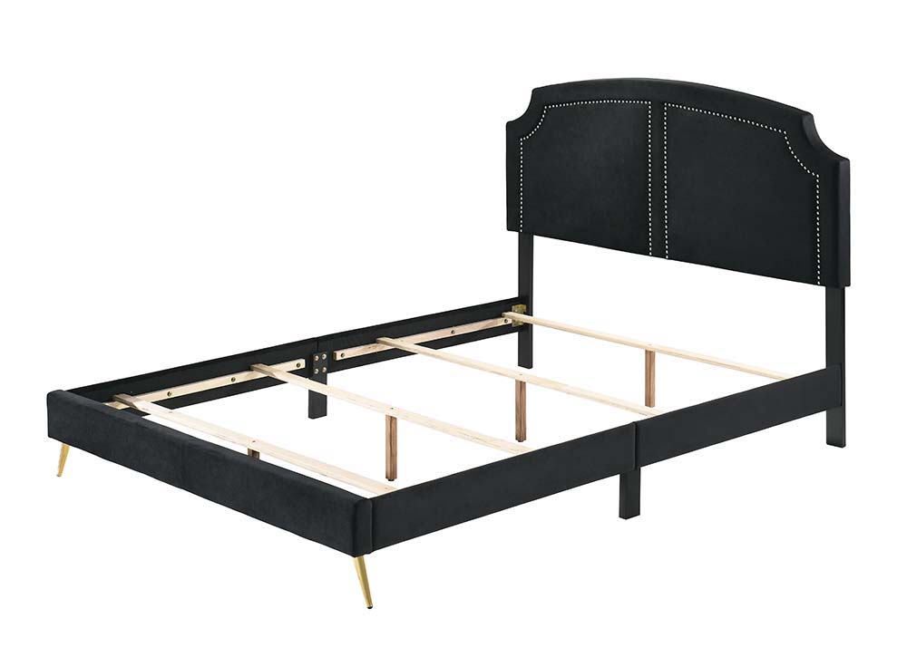 ACME Zeena - Bed | Meri Furniture