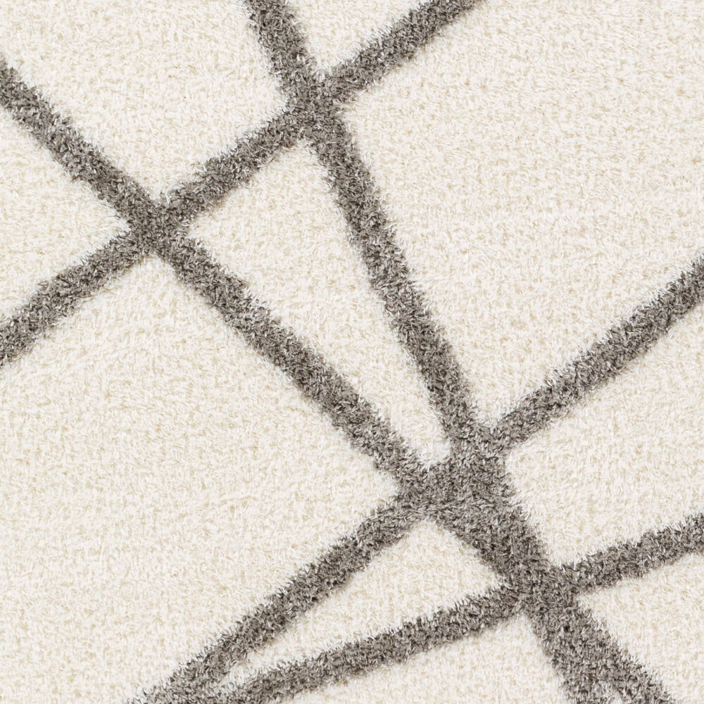 Cloudy Shag Machine Woven Rug
