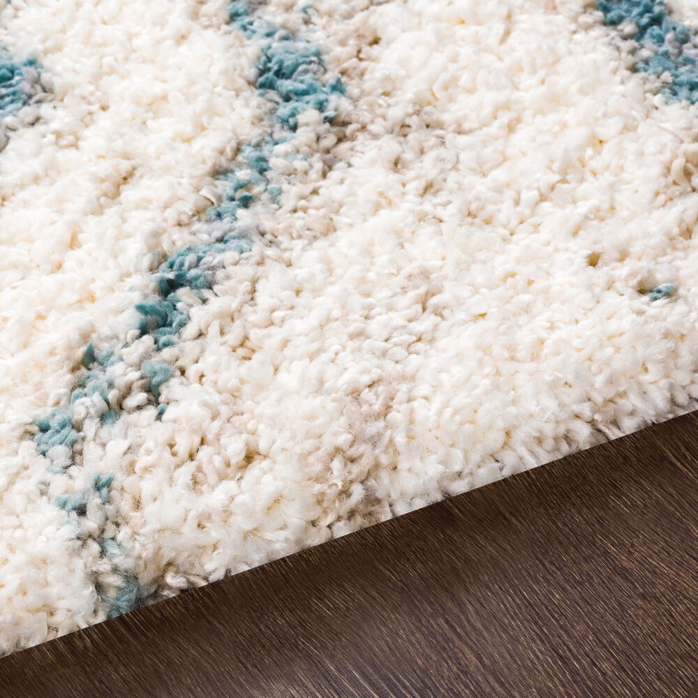 Eskimo Shag Machine Woven Rug
