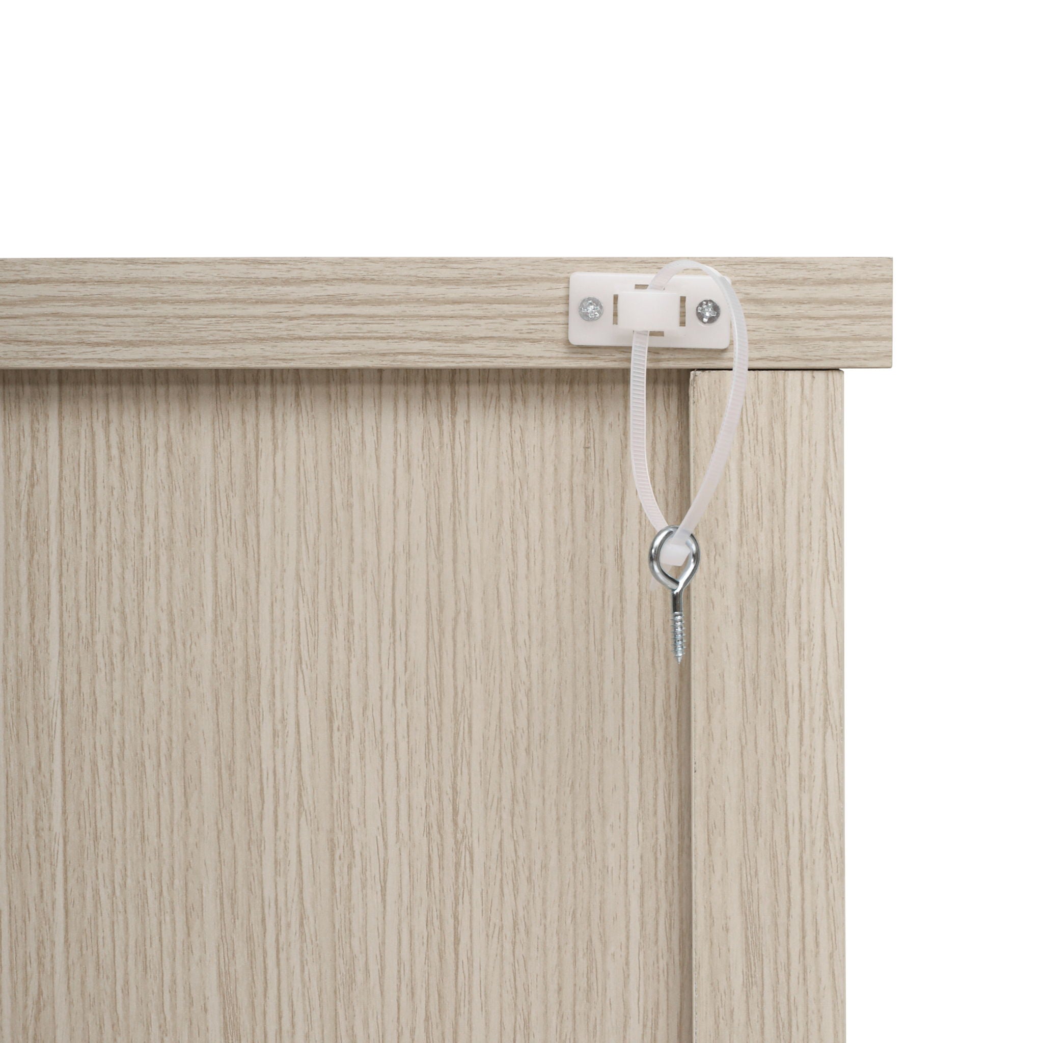 2 Door Carved Storage Cabinet With Adjustable Shelf, Accent Furniture