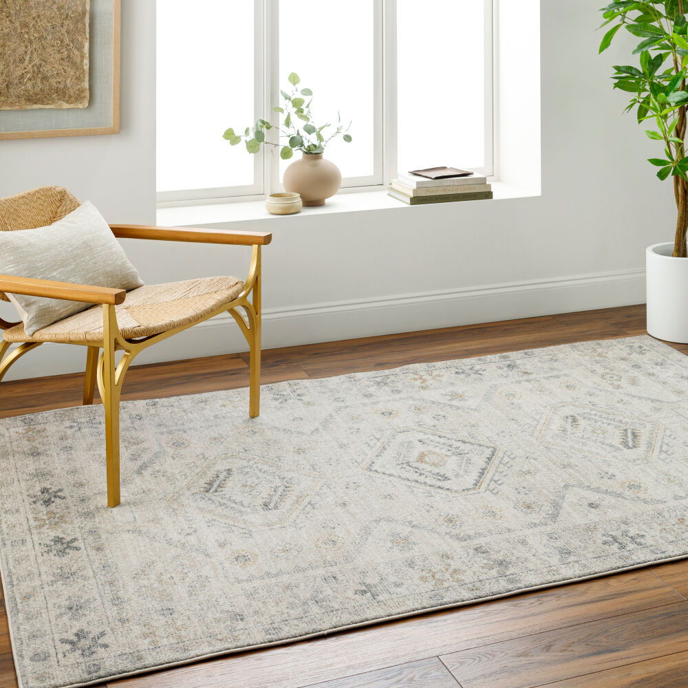 Alpharetta Machine Woven Rug
