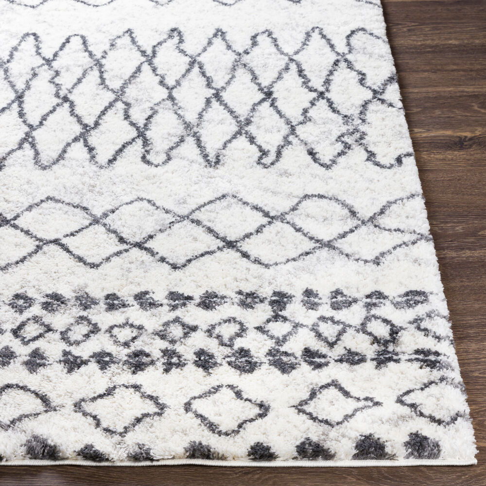 Aliyah Shag Machine Woven Rug