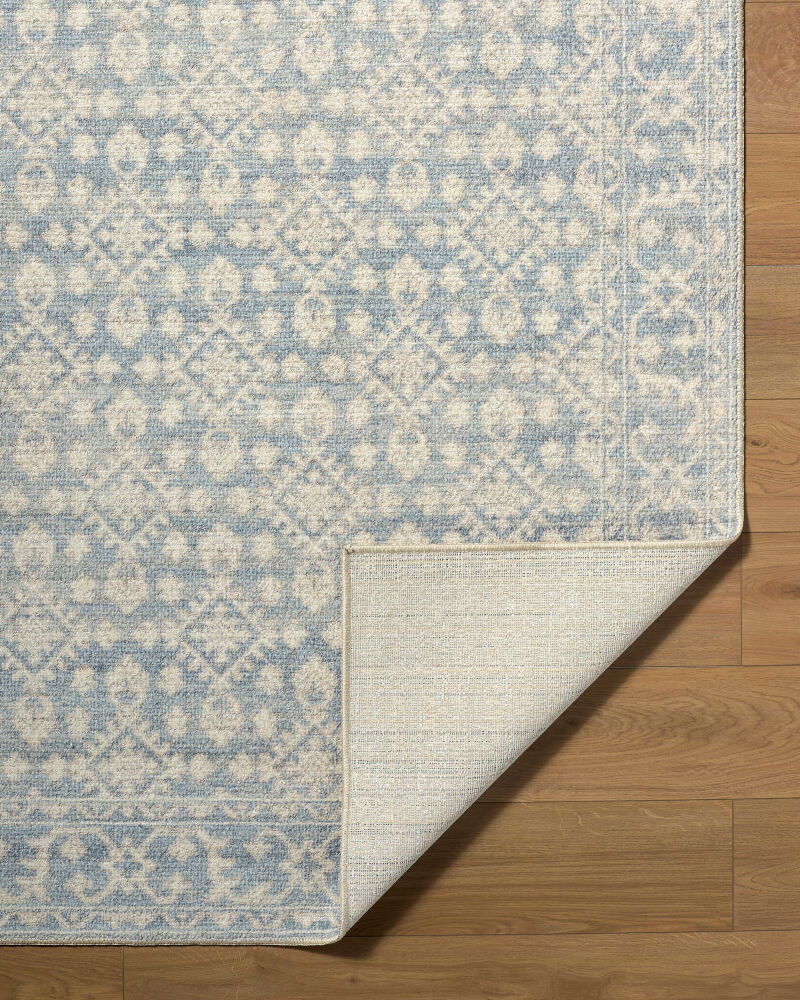Aram Machine Woven Rug