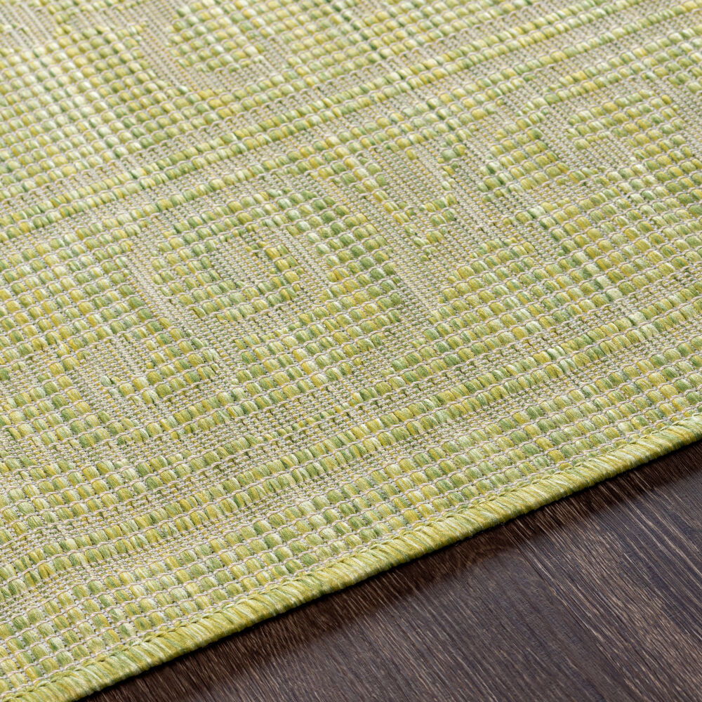Pasadena Machine Woven Rug