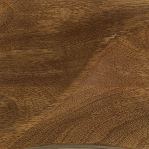 Aajon - Accent Mirror - Brown