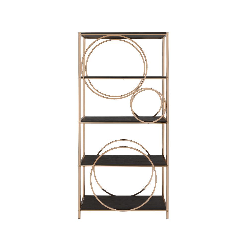 ACME Hudice - Bookshelf - Black Oak & Champagne | Meri Furniture