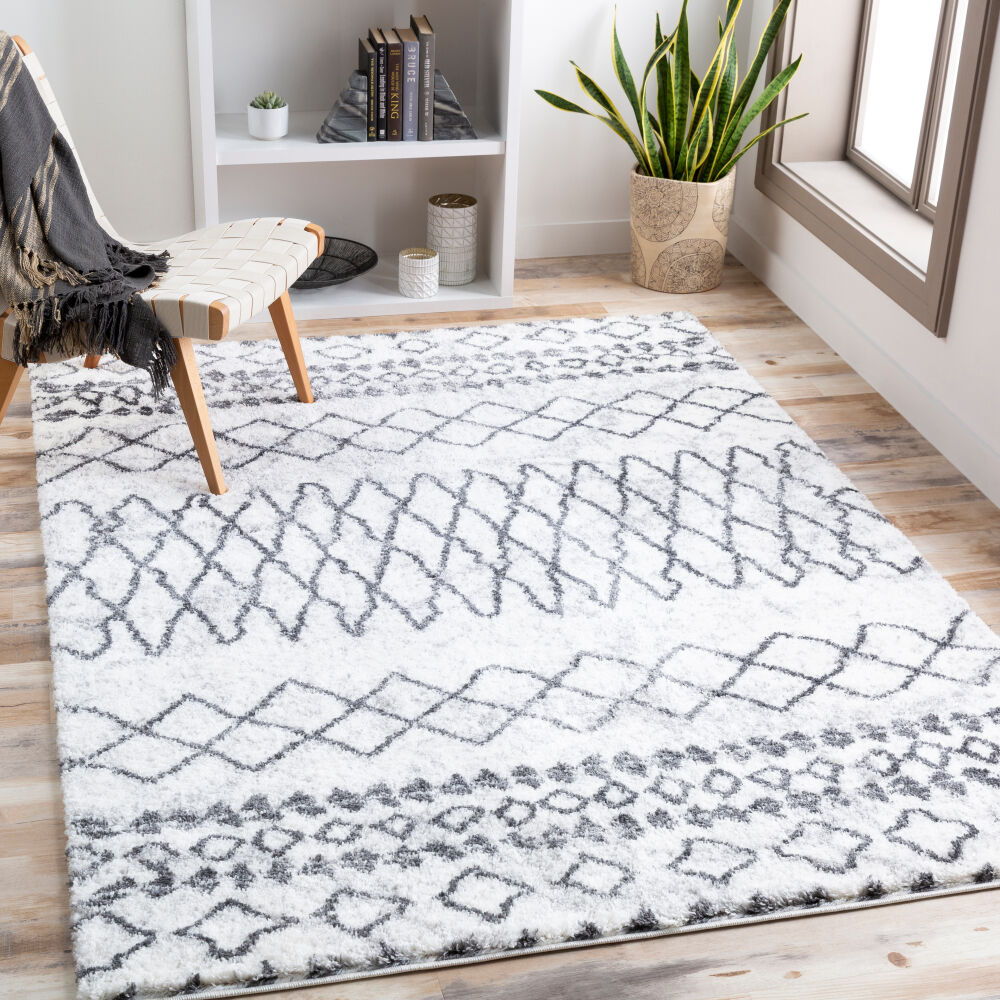 Aliyah Shag Machine Woven Rug