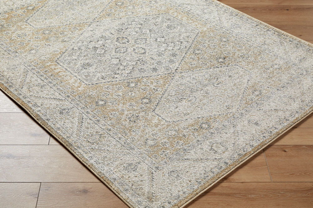 Alpharetta Machine Woven Rug