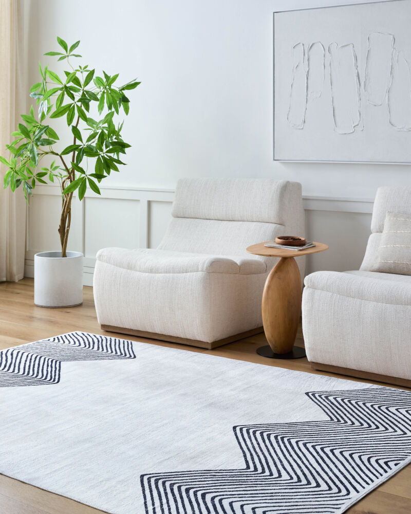 Lavable Machine Woven Rug
