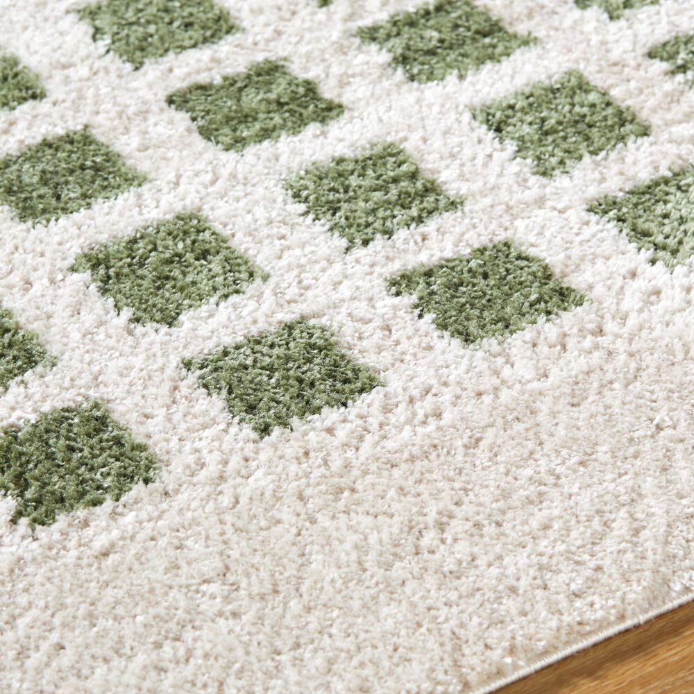 Fossay Shag Machine Woven Rug