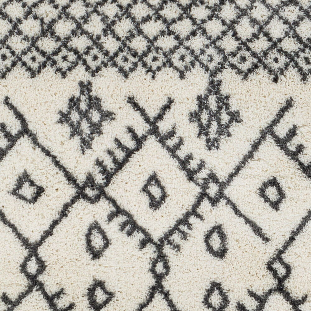 Aliyah Shag Machine Woven Rug