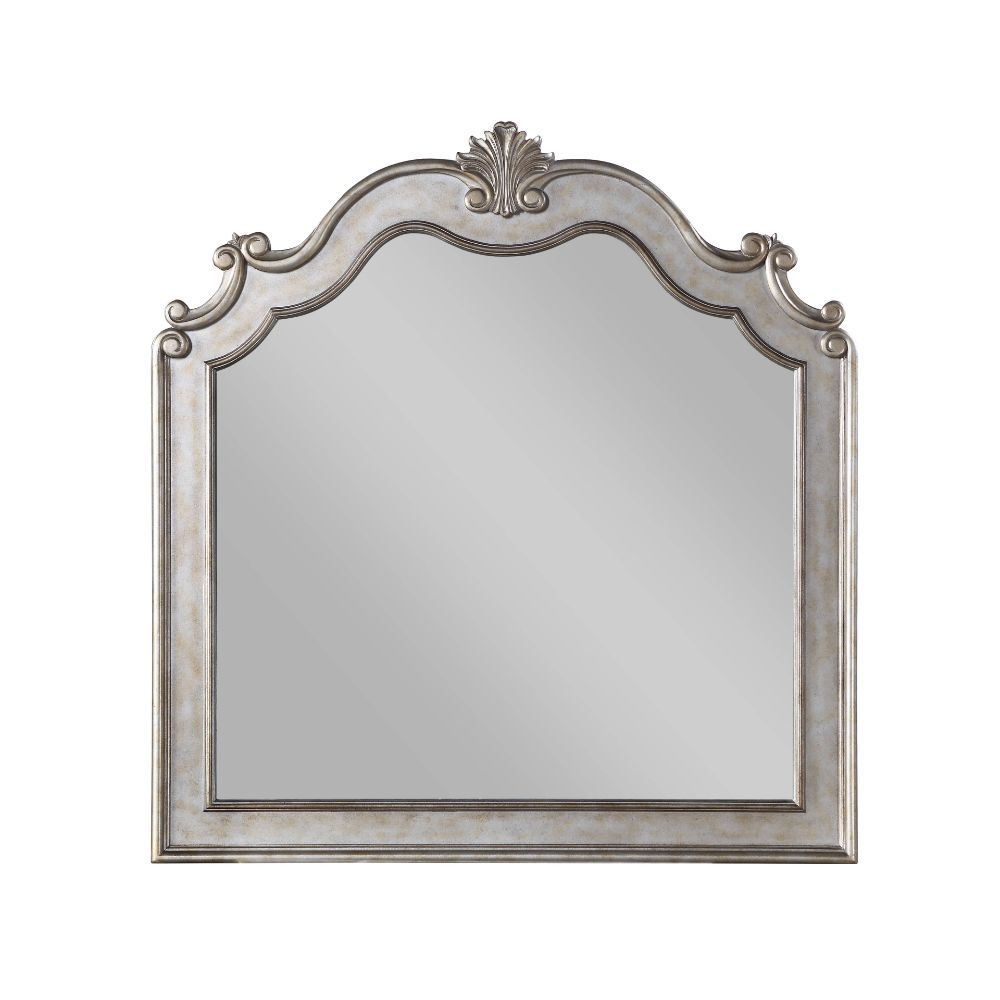 ACME Esteban - Mirror - Antique Champagne | Meri Furniture