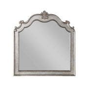 ACME Esteban - Mirror - Antique Champagne | Meri Furniture