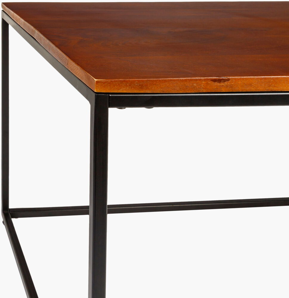 Aryaa Coffee Table