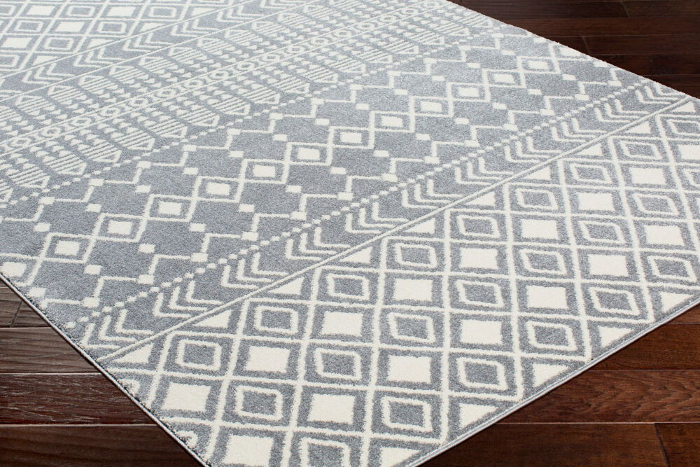 Horizon Machine Woven Rug
