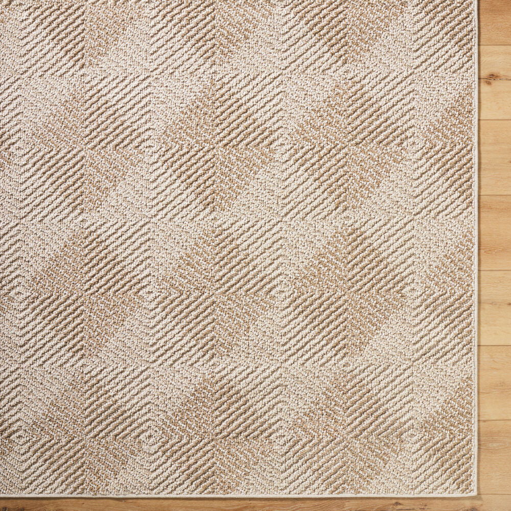 Kaya Machine Woven Rug