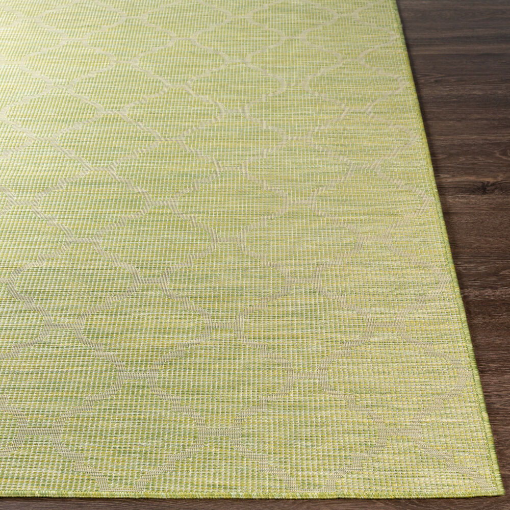 Pasadena Machine Woven Rug
