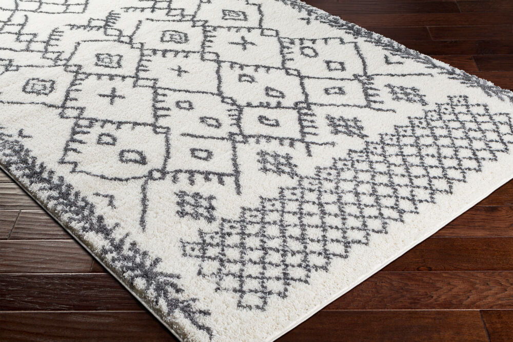 Aliyah Shag Machine Woven Rug