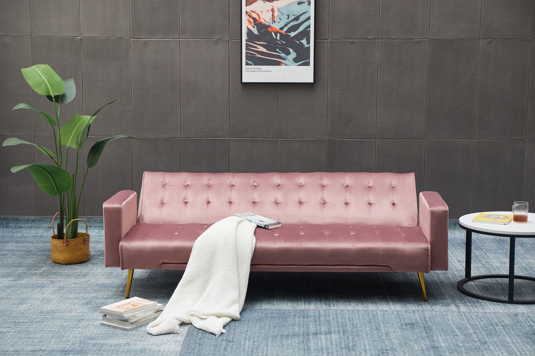 Comfort Compact Design Sofa Bed