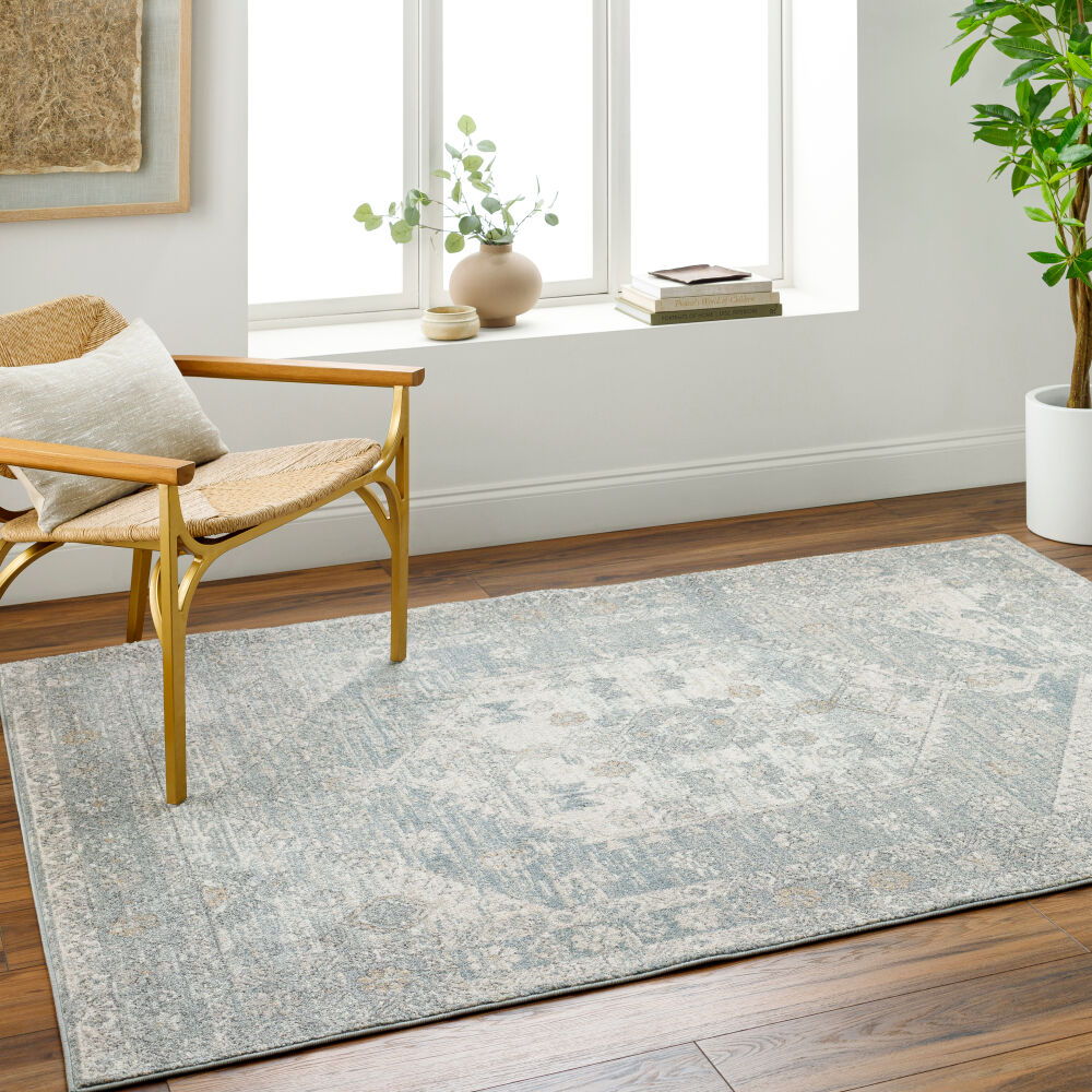 Alpharetta Machine Woven Rug