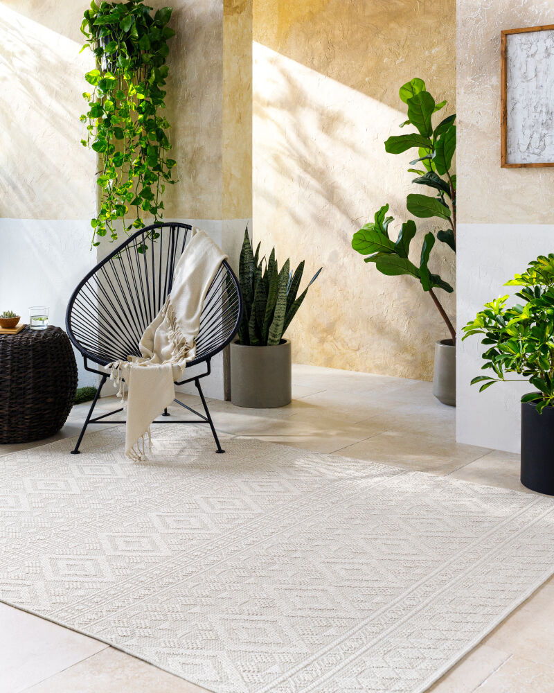 Sandra Machine Woven Rug