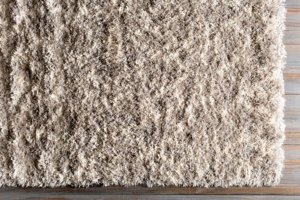 Rhapsody Machine Woven Rug