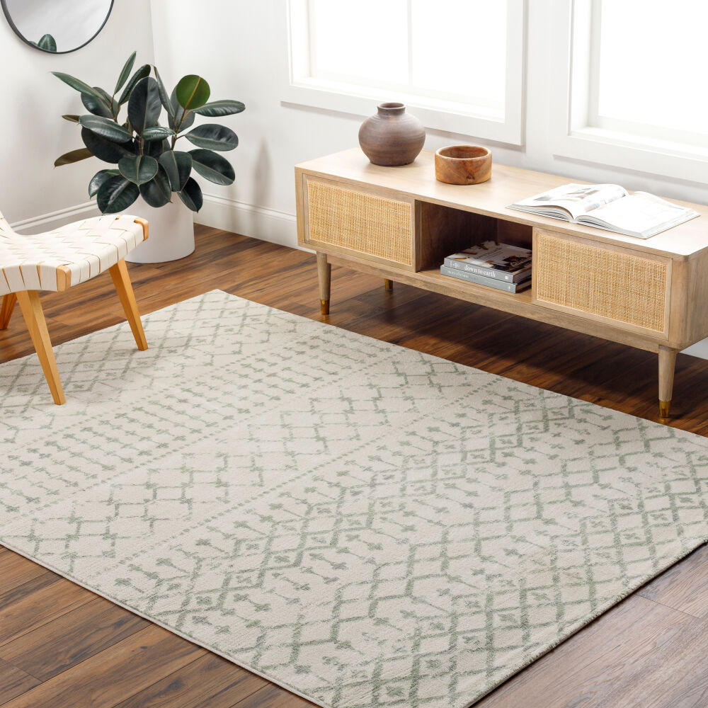 Roma Machine Woven Rug