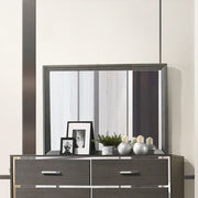 ACME Escher - Mirror - Gray Oak | Meri Furniture