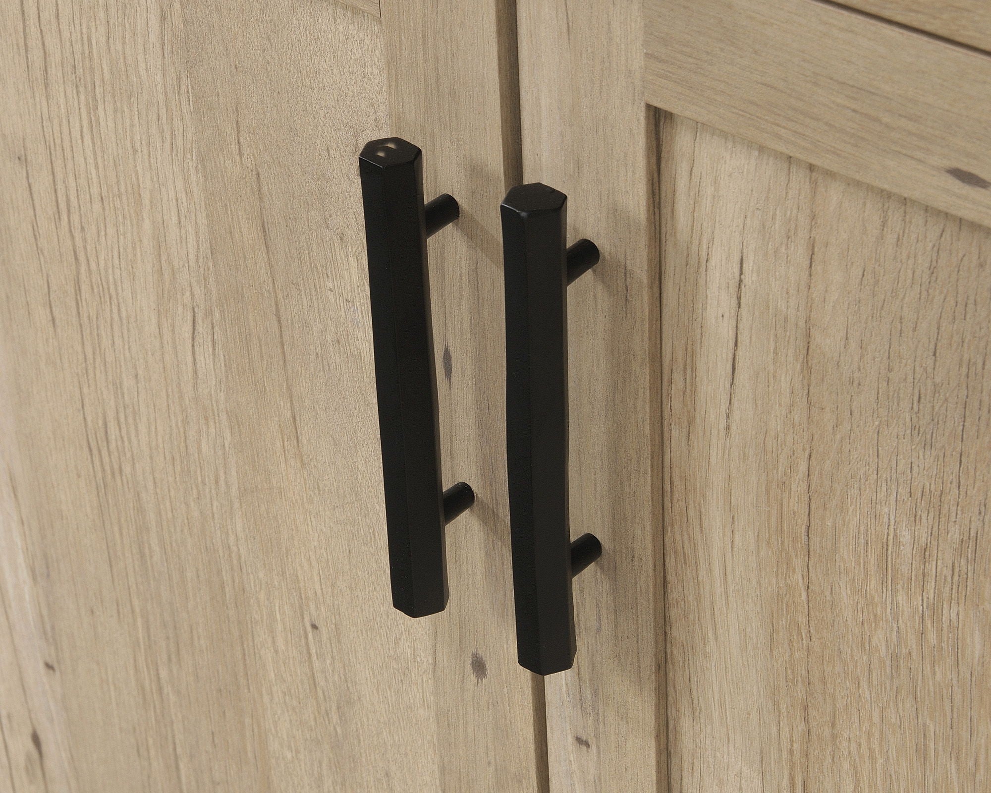 2-Door Library Cabinet with Prime Oak Finish