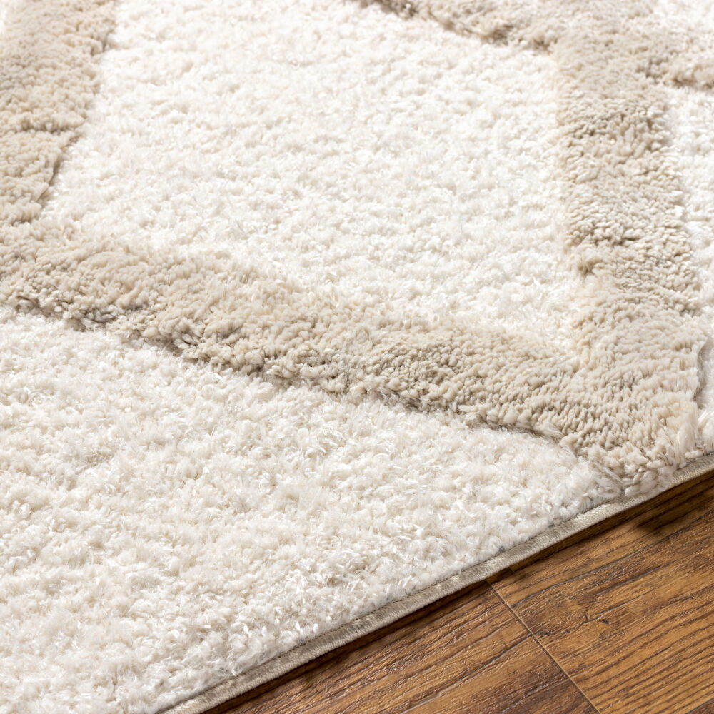 Hudson Shag Machine Woven Rug
