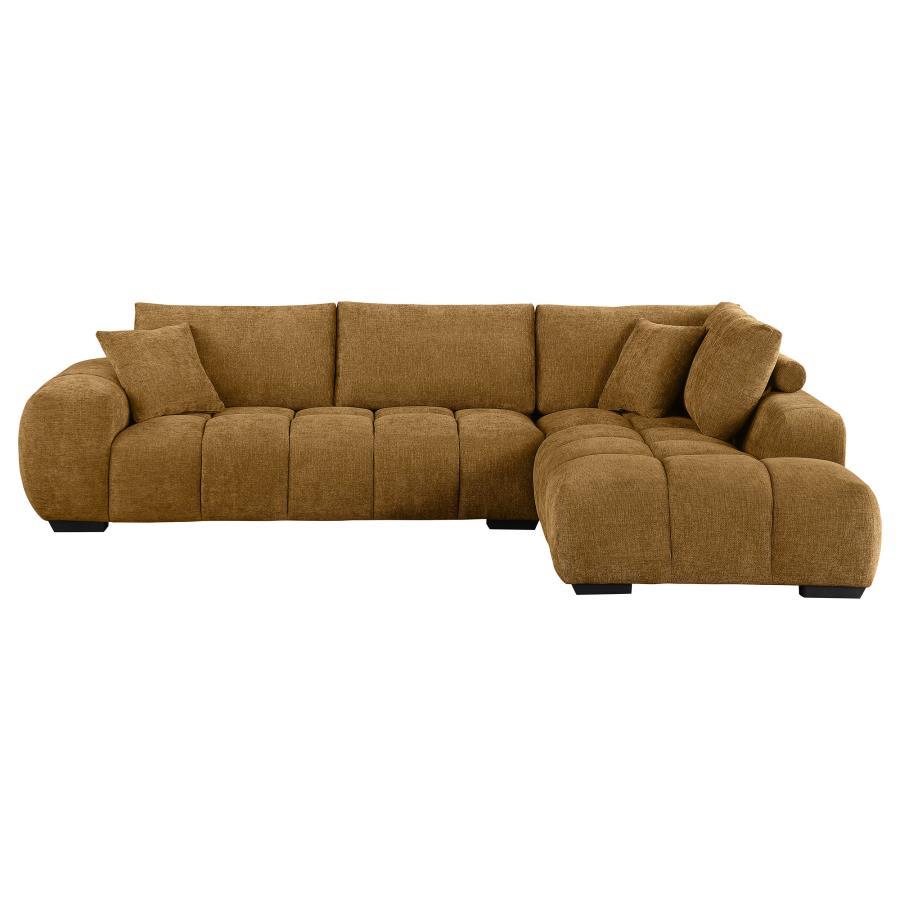 Coaster Fine Furniture Camacho - Upholstered Chaise Sectional Sofa | Meri Furniture