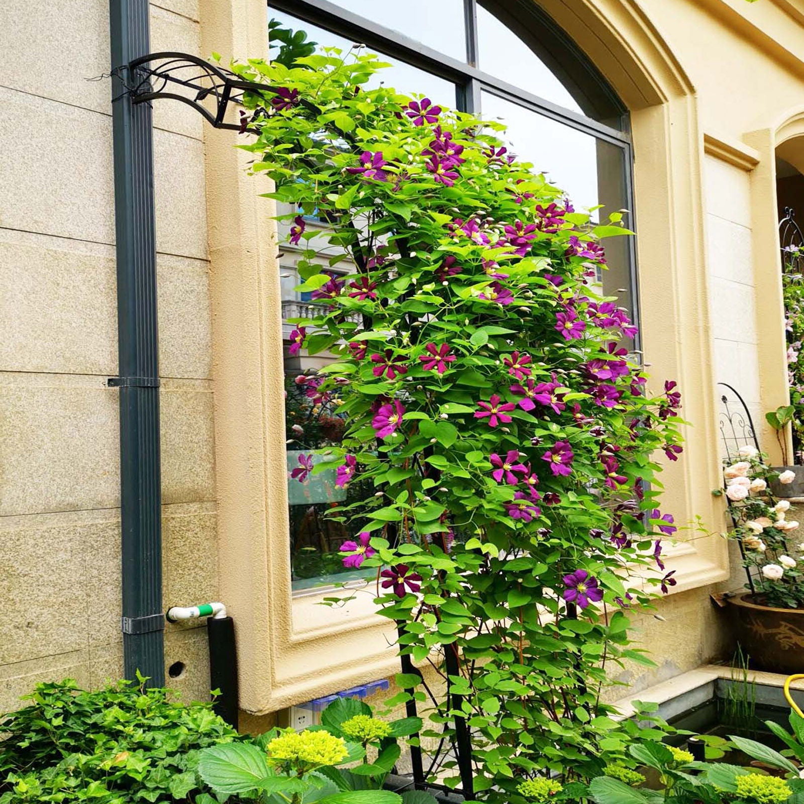 Metal Garden Arch Assemble Freely With 8 Styles Garden Arbor Trellis Climbing Plants Support Rose Arch