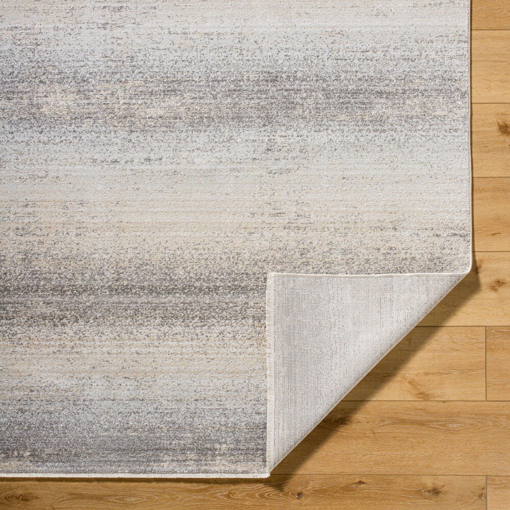 Rojin Machine Woven Rug