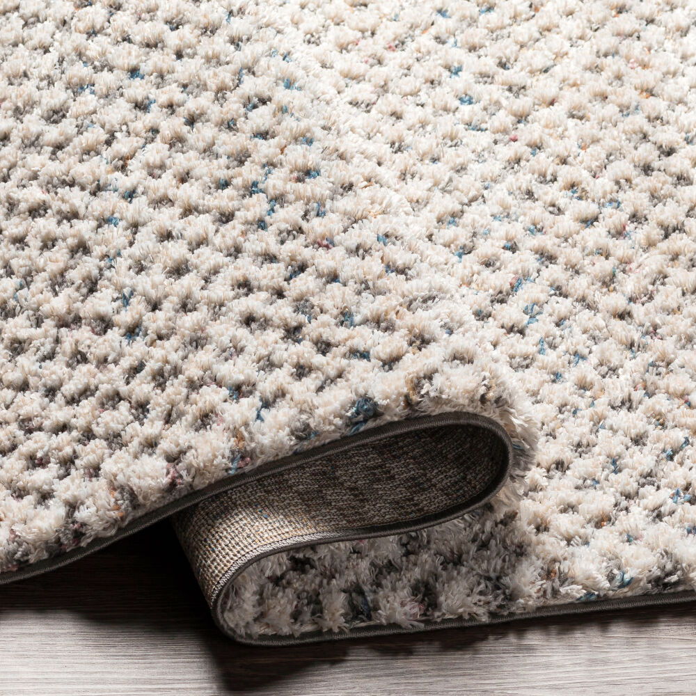 Lyon Machine Woven Rug