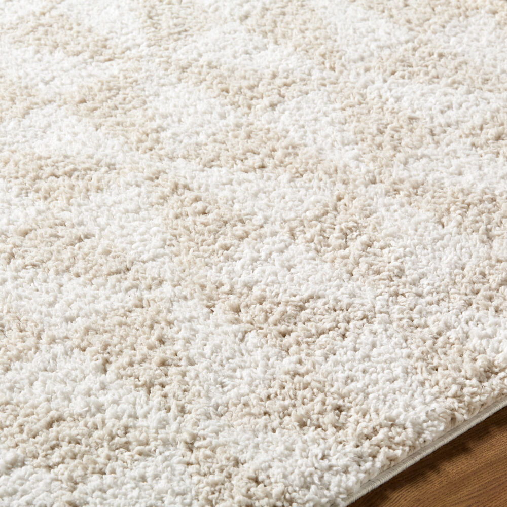 Sacramento Shag Machine Woven Rug