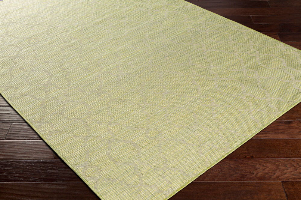 Pasadena Machine Woven Rug