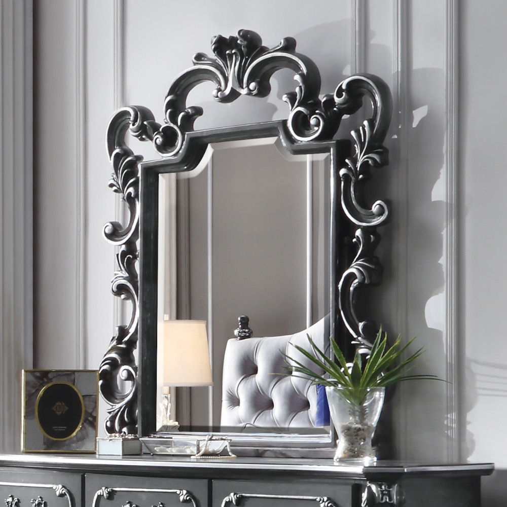 ACME House - Delphine - Mirror - Charcoal Finish | Meri Furniture