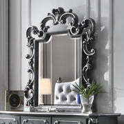 ACME House - Delphine - Mirror - Charcoal Finish | Meri Furniture
