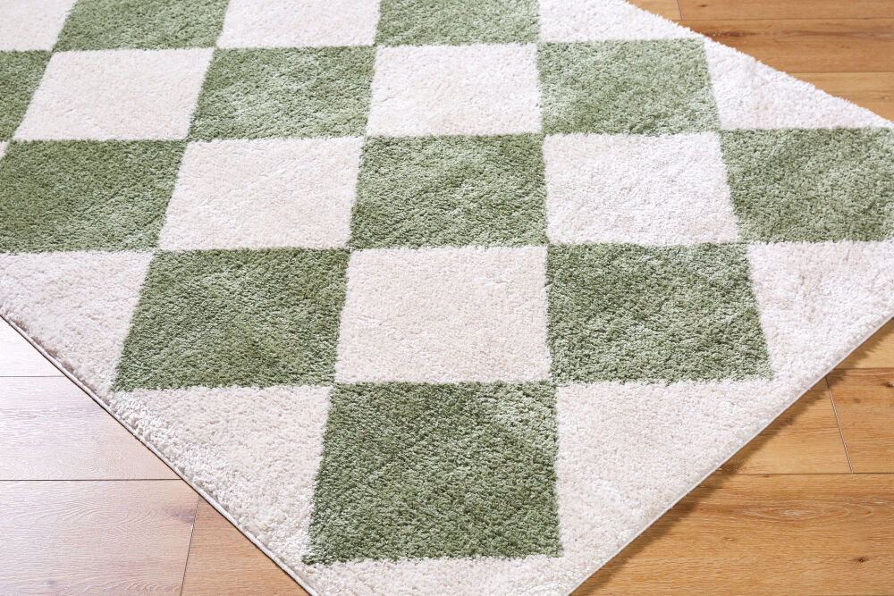 Fossay Shag Machine Woven Rug