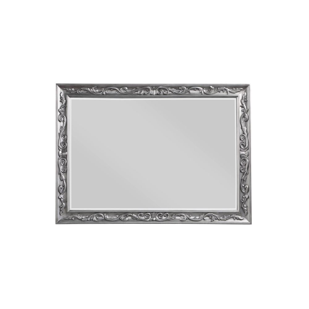 ACME Leonora - Mirror - Vintage Platinum | Meri Furniture