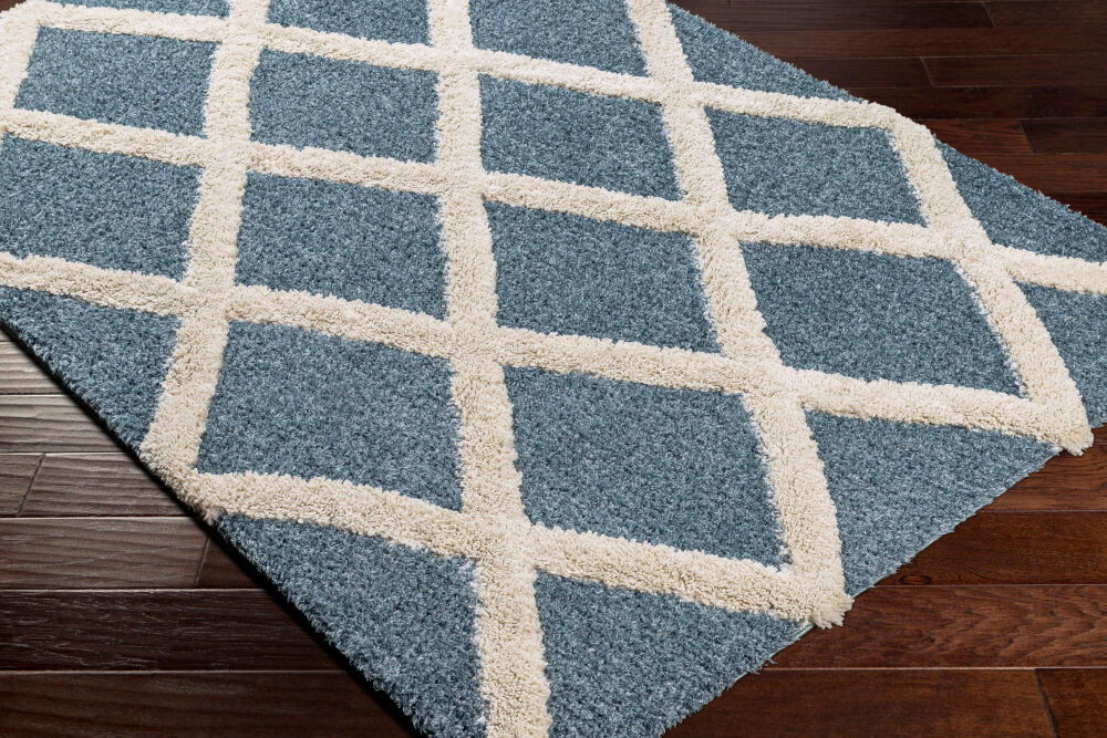 Hudson Shag Machine Woven Rug