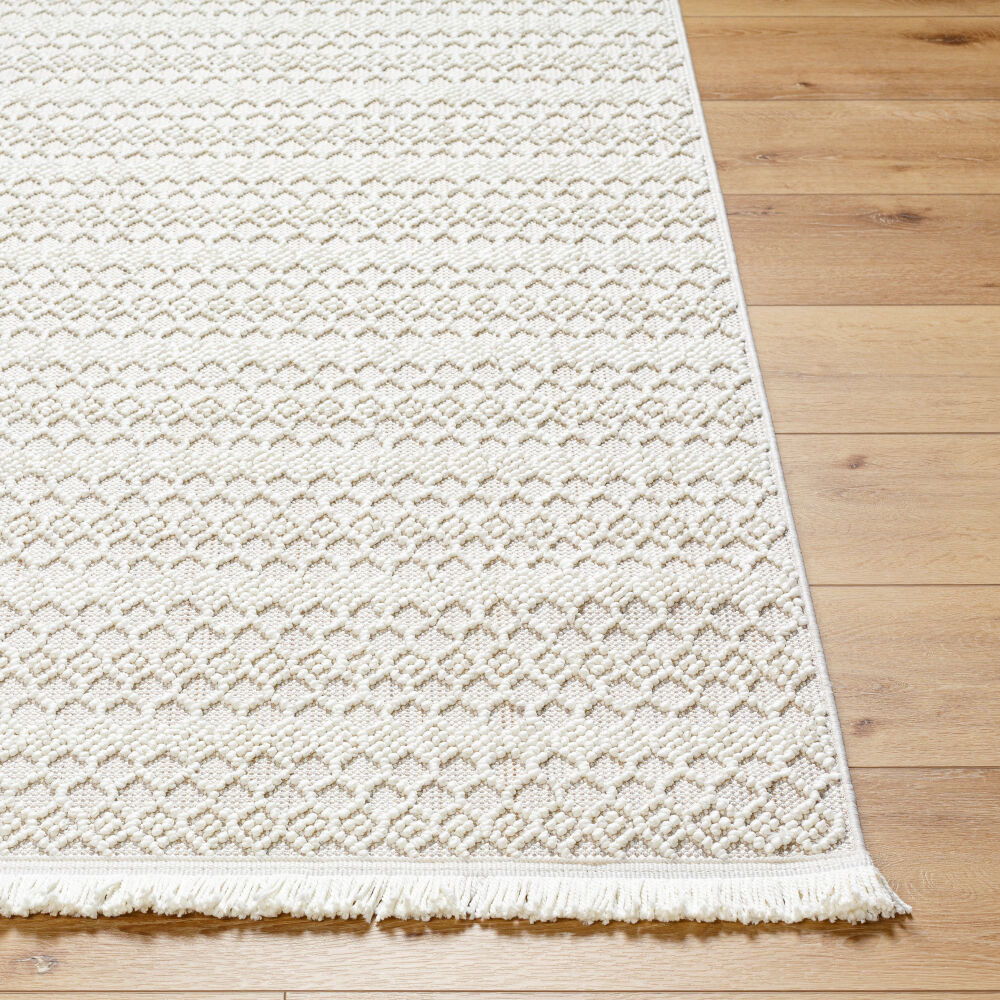 New Delhi Machine Woven Rug