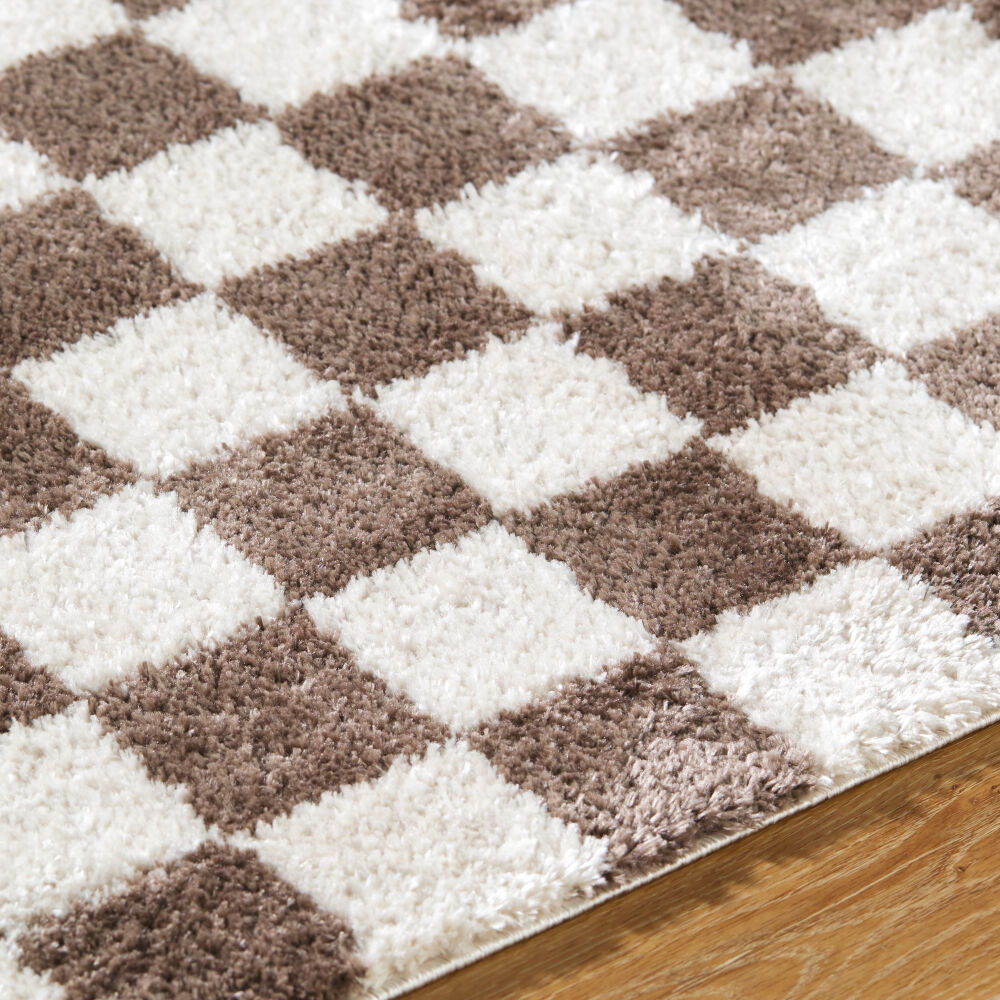 Fossay Shag Machine Woven Rug