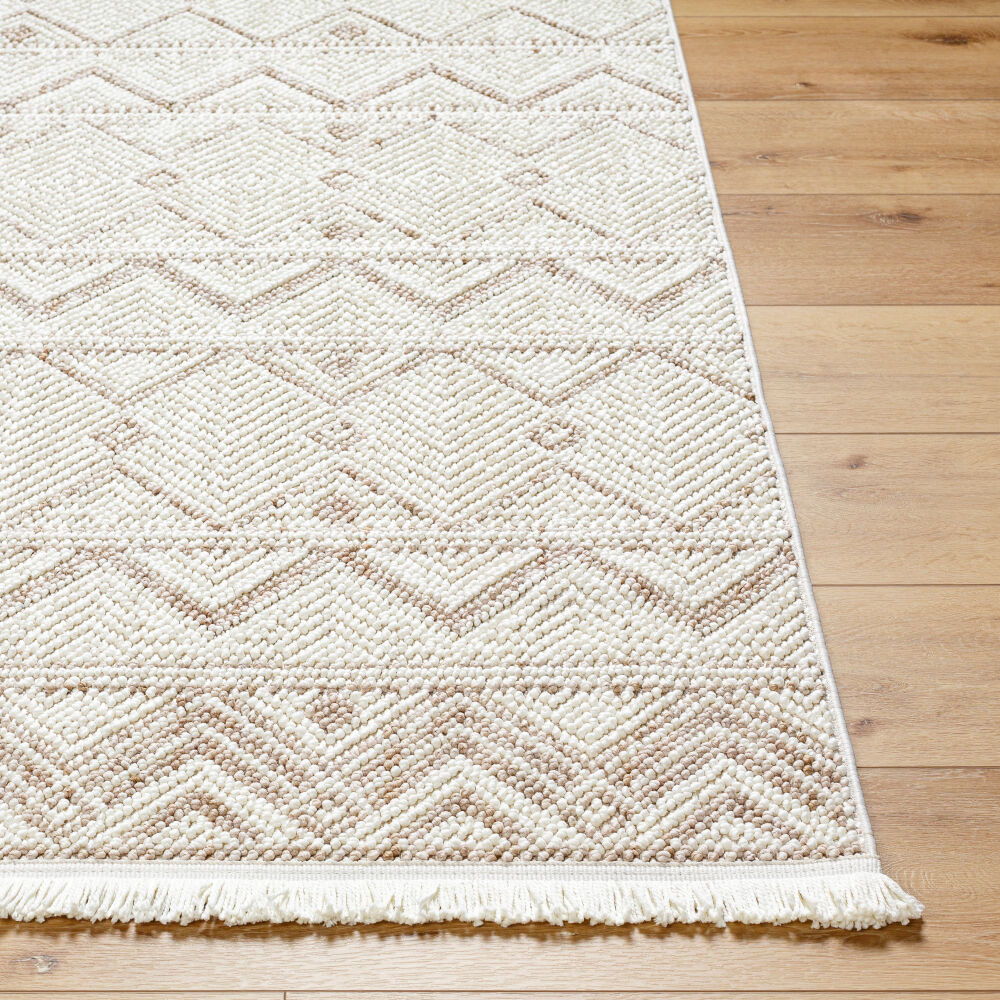 New Delhi Machine Woven Rug