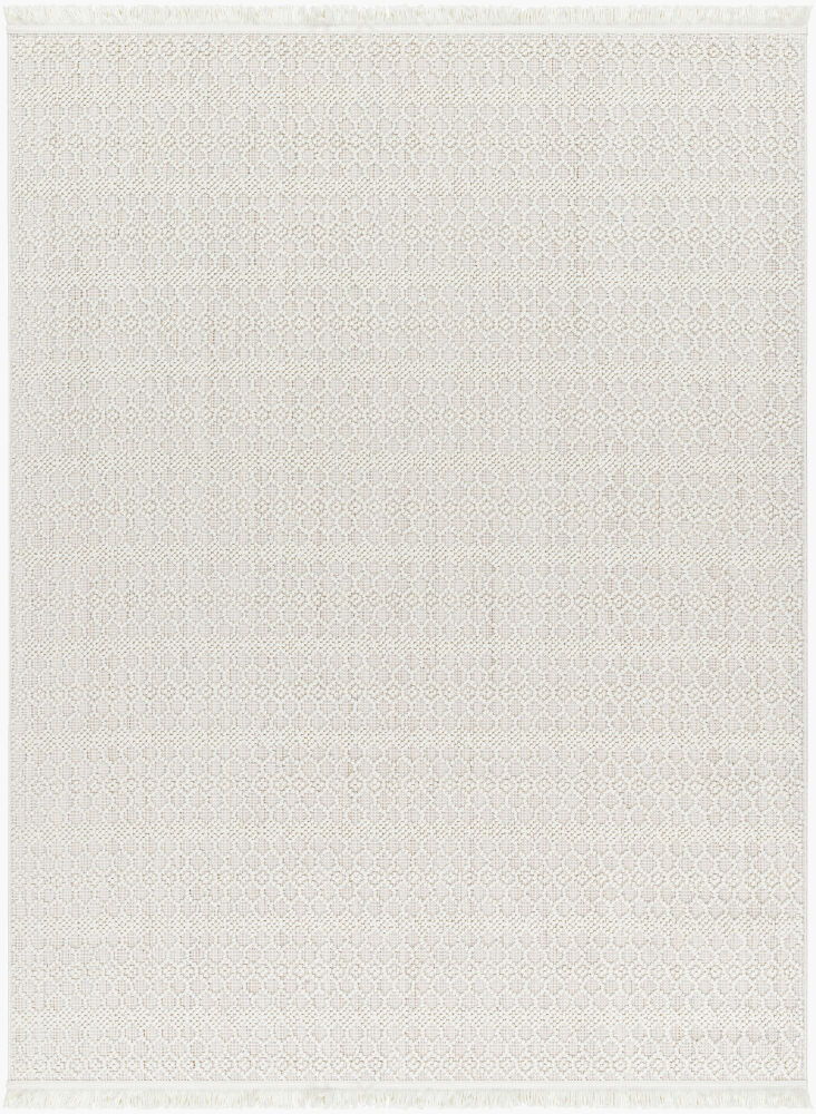 New Delhi Machine Woven Rug