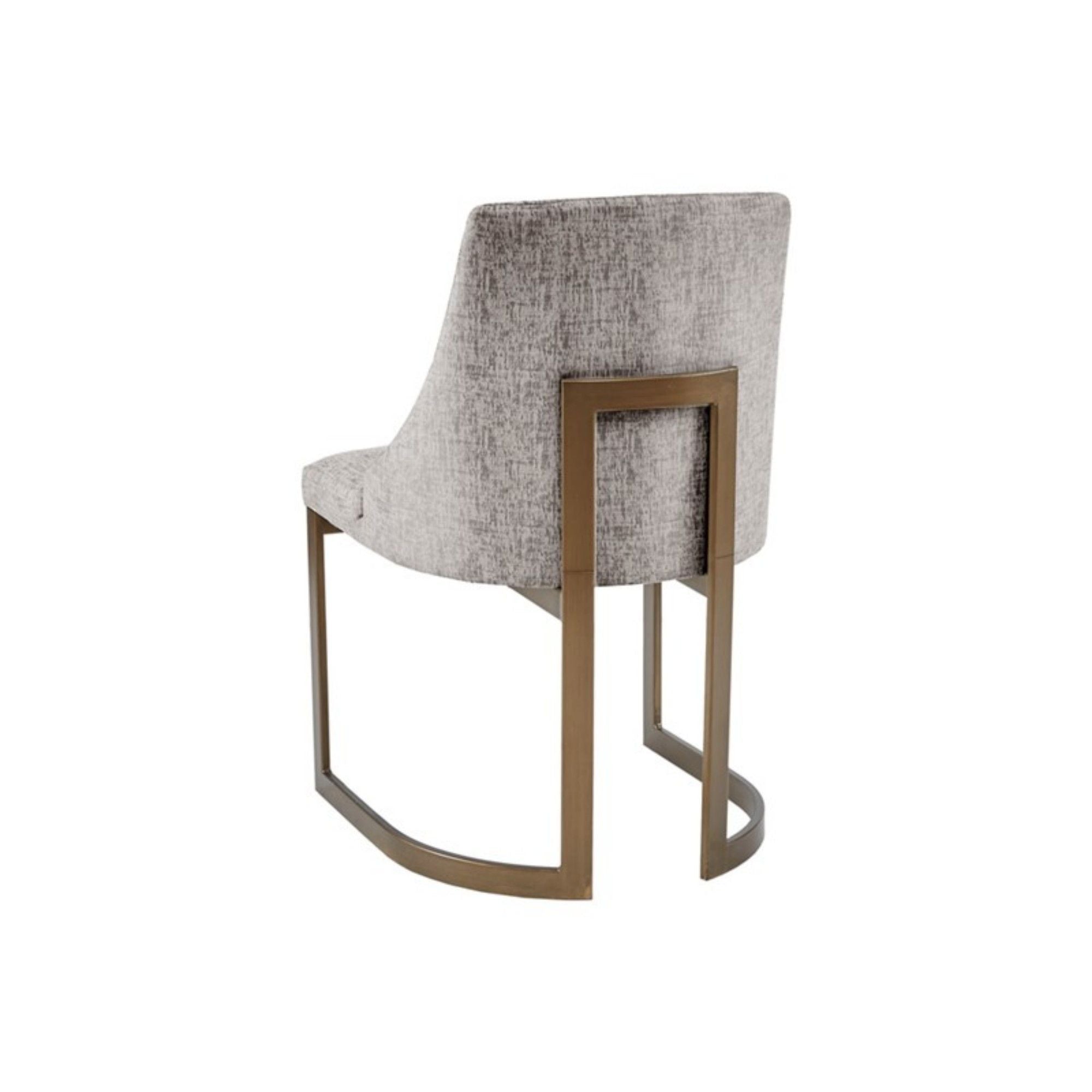 Contemporary Modern Accent Dining Chairs (Set of 2)